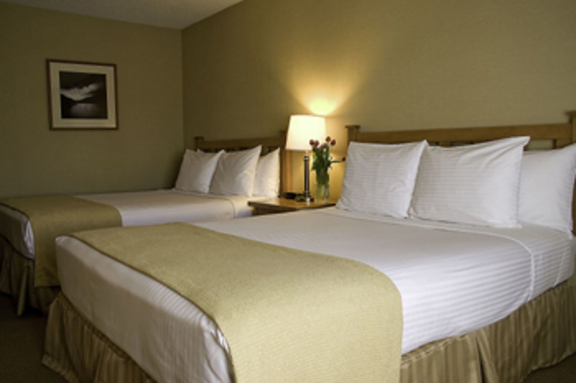 Best Western Seattle Airport Hotel SeaTac Chambre photo